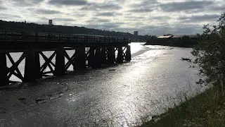 Derwenthaugh Staiths