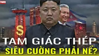 BẢN DI CH&Uacute;C THỜI ĐẠI: TẠI SAO VN L&Agrave; 