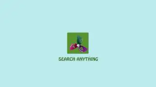 searchanything logo3