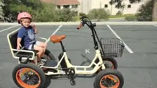 4 Wheel EBike You Can Bring Passengers On! You Won't BELIEVE What This Quadricycle EBike Can Do!