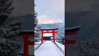 Kyoto (Japan) &ndash; Timeless Temples and Seasons of Beauty