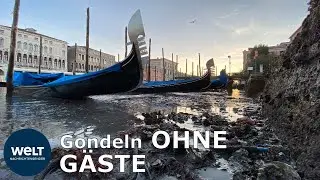 WASSERNOT in VENEDIG: Nach Rekordhochwasser herrscht jetzt Wassermangel