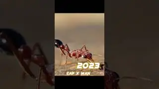 2023 Ant vs 5000 bce Ant 🐜🐜 #shorts #viral #ant #trending
