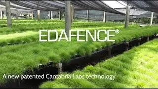 EDAFENCE&reg; Technology: Deschampsia antarctica (ENGLISH)