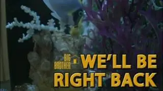 Week 01 - 6/26 to 7/02 Zankie Moments