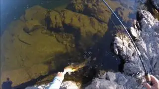 Fishing the Lower Salt River in Arizona