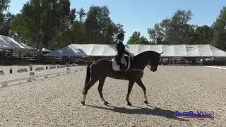 011D Stephanie Goodman on Drs Resolute CCI3* Long Dressage Galway Downs Oct. 2020