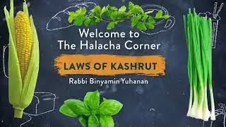 Basics of Kashrut Part 1 - Kosher Meat, Fish, Dairy, Separation Between Meat and Milk, etc.