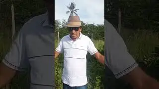piada da hora
