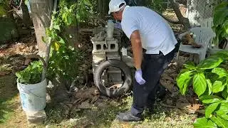 🏡 Property Inspections Play a Vital Role in Mosquito Control 🦟