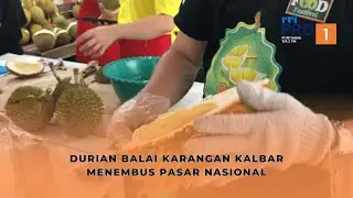 Durian Lokal Menembus Pasar Nasional