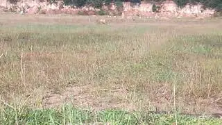 kỹ thu&acirc;t bắn s&uacute;ng ak