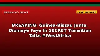 BREAKING: Guinea-Bissau Junta, Diomaye Faye In SECRET Transition Talks #WestAfrica