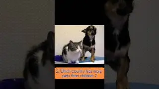 Unknown facts about Countries Part 1 #youtubeshorts #ytshorts #youtube #country