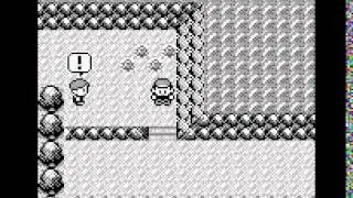 Pok&eacute;mon Cursed Black Gameplay, Release 1.0