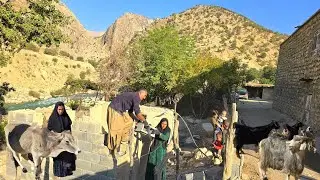 The real life of nomads | From clearing the land to cooking local food and caring for livestock
