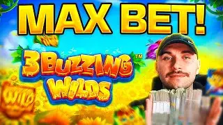 I KEPT SPINNING IN MAX BET BONUSES ON 3 BUZZING WILDS!!! (BONUS BUYS)