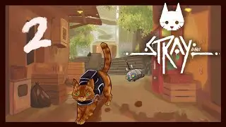 STREAM【Stray】p.2 - To Whom is the Poncho for?