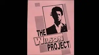 The Wilson Project - Brian Wilson & Gary Usher 1986 Recording Sessions