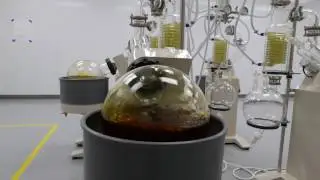 FACT: Care By Design cannabis oil is extracted with non-flammable C02