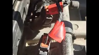 Bit of a look over