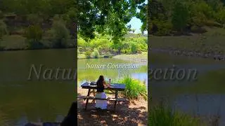 Nature Connection in Adelaide #shorts #travel