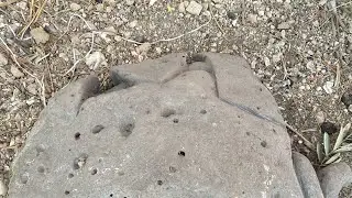 تل اثري نادر وهام جدا لم يُكتشف بعد في اربد A rare and very important archeological hill that has no
