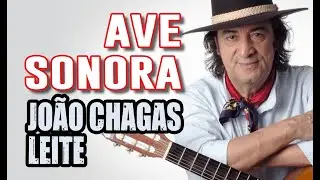 Ave sonora ‐ Jo&atilde;o Chagas Leite