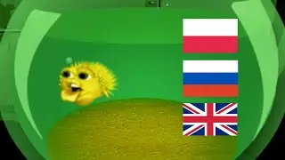 Мем &laquo;Желтая поющая рыба-собака&raquo; на трёх языках: польском, русском, английском