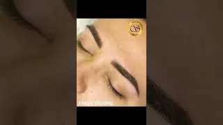 Technique poudr&eacute;e : le Magic Shading