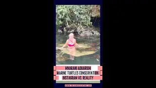 Instagram vs. Reality | #travelcontentcreator #mnaranimarine #turtlelover r