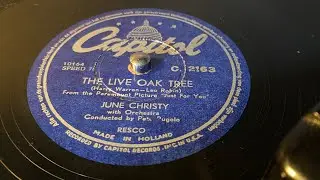 June Christy - The Live Oak Tree - 78 rpm - Capitol C2163
