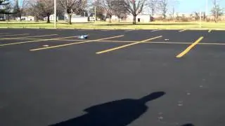 ECX Torment Brushless Run Video