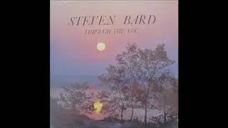 Steven Bard - Hollow Well