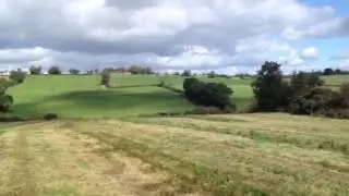 David Norris silage 2013