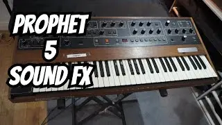 Captivating Prophet 5 Sound FX Insights