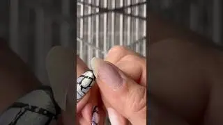 EXTREME BROKEN NAIL REPAIR WITH TEABAG HACK #lifehacks #repair #diy #explore #howto #nails #shorts