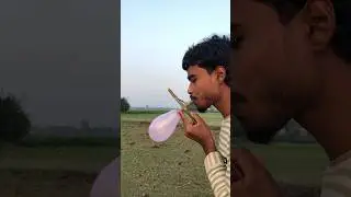 Mini Tree Branch and Bamboo Gulti 2 Mini Arrows Shot #Shorts #Abamboor