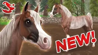 NEW ARABIAN HORSE SPOILERS - The Best Star Stable Horse