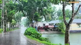 Walk in Heavy Rain and Thunderstorms in Rural Bangladesh | ASMR, Nature Sounds for Sleep