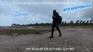 YAĞMURDA LEVREK AVI. UZUNLUĞU LİMİT ÜSTÜ AMA NEDEN BU KADAR ZAYIF BİR LEVREK?