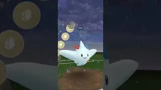 HOW TO Defeat Sierra with JUST ONE POKEMON! | Pokemon Go Team GO Rocket (Nov 2022)