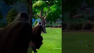 Final shot. Game over. 🎯🏆 #VictoryRoyale #FortniteFinish #ClutchKill