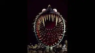 underrated dragon #whispering death #changewing#timberjack#scaldron