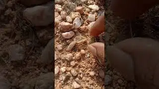 జొన్నగిరి గ్రామ స్ఫటికాలు మరియు వజ్రాలు