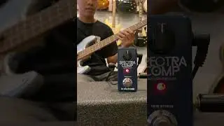 Tc Electronic Spectra Comp #monksoundcheck #shorts #basspedals  #guitar #bass