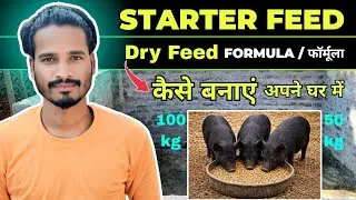 Starter Pig Dry Feed Formula || 50kg 100kg 200kg starter feed kaise banaye || How to make feed