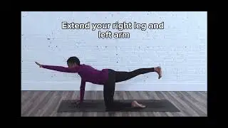 Bird Dog Pose for Beginners 🐦🐕 | Improve Balance & Core Strength