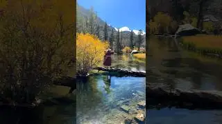 California Fall Colors  #visitcalifornia #travel