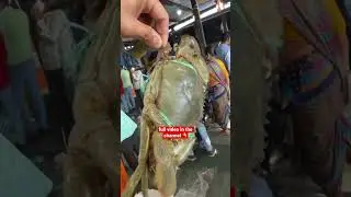 big crab 🦀 mumbai fish market | #fishmarket #shortvideo #shorts
